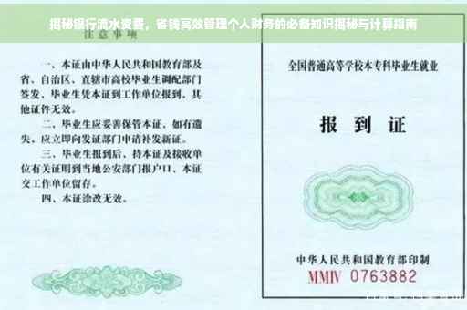 揭秘银行流水资费，省钱高效管理个人财务的必备知识揭秘与计算指南