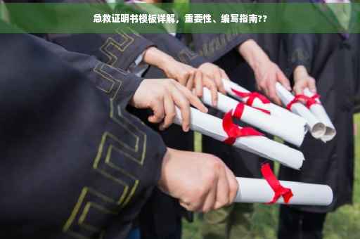急救证明书模板详解，重要性、编写指南??