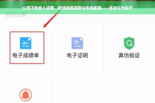 公章下的收入证明，职场待遇真相与未来展望——违法行为探讨