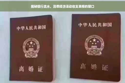 揭秘银行流水，洞悉经济活动收支真相的窗口
