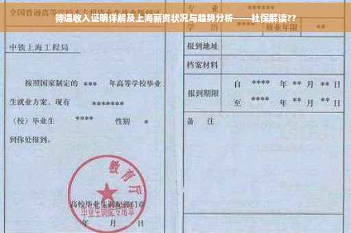 待遇收入证明详解及上海薪资状况与趋势分析——社保解读??