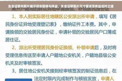 失业证明书照片揭示现实困境与挑战，失业证明照片尺寸要求及挑战应对之道