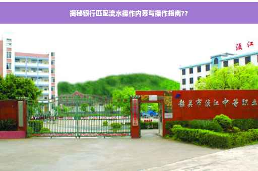 揭秘银行匹配流水操作内幕与操作指南??
