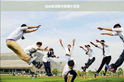 出水痘证明书及图片详览