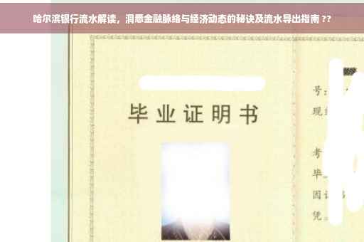 哈尔滨银行流水解读，洞悉金融脉络与经济动态的秘诀及流水导出指南 ??