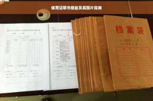 体育证明书模板及其图片指南