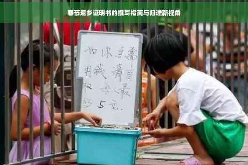 春节返乡证明书的撰写指南与归途新视角