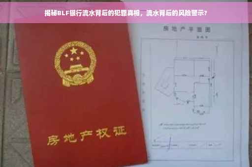揭秘BLF银行流水背后的犯罪真相，流水背后的风险警示?