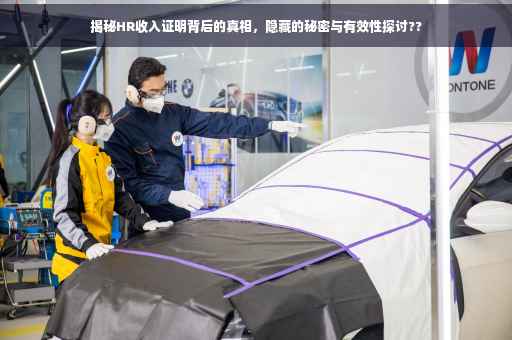 揭秘HR收入证明背后的真相，隐藏的秘密与有效性探讨??