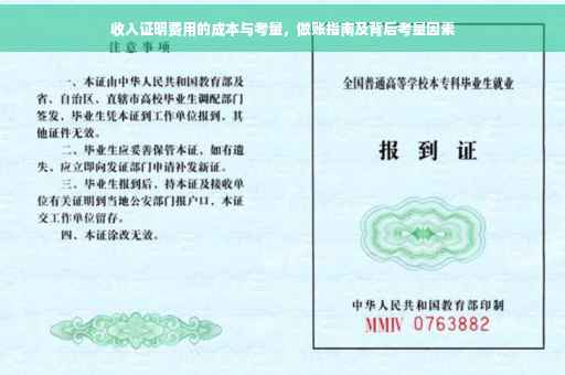 收入证明费用的成本与考量，做账指南及背后考量因素