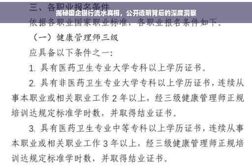 揭秘国企银行流水真相，公开透明背后的深度洞察