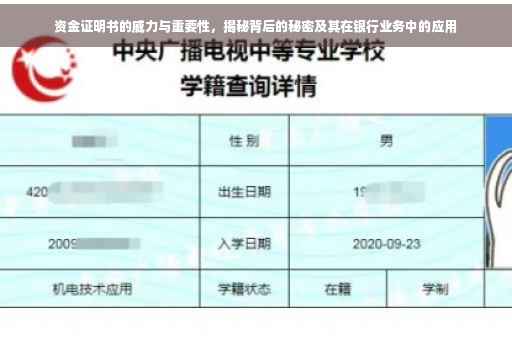 资金证明书的威力与重要性，揭秘背后的秘密及其在银行业务中的应用