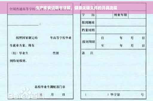 生产疾病证明书详解，健康关键文件的开具流程