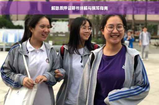 解除质押证明书详解与撰写指南
