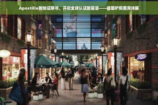 Apostille附加证明书，开启全球认证新篇章——德国护照费用详解
