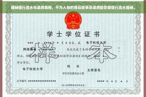 揭秘银行流水与退房真相，不为人知的背后故事及退房能否查银行流水揭秘。