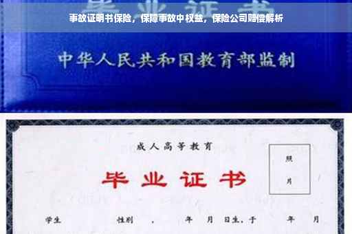 事故证明书保险，保障事故中权益，保险公司赔偿解析