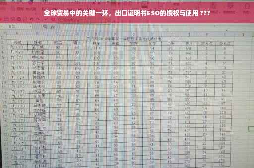 全球贸易中的关键一环，出口证明书ESO的授权与使用 ???