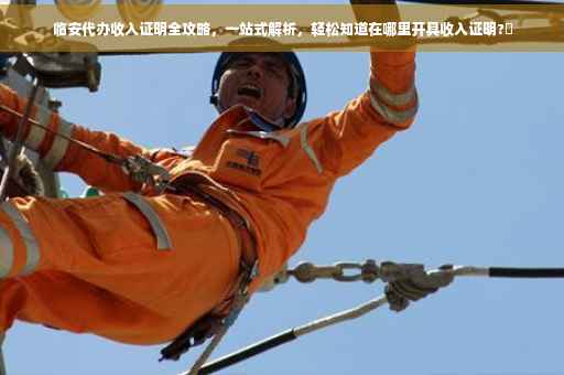 临安代办收入证明全攻略，一站式解析，轻松知道在哪里开具收入证明?⚡