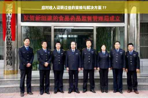 应对收入证明过低的策略与解决方案 ??