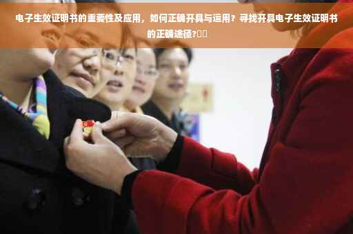 电子生效证明书的重要性及应用，如何正确开具与运用？寻找开具电子生效证明书的正确途径?⚡️