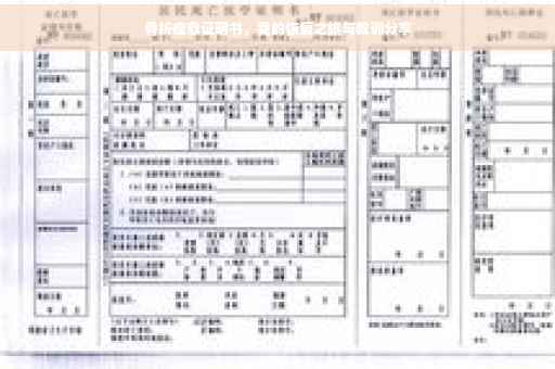 骨折痊愈证明书，我的恢复之旅与教训分享
