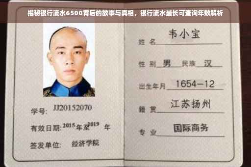 揭秘银行流水6500背后的故事与真相，银行流水最长可查询年数解析