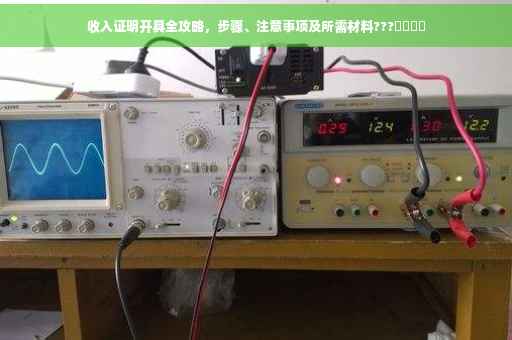收入证明开具全攻略，步骤、注意事项及所需材料???​​​​