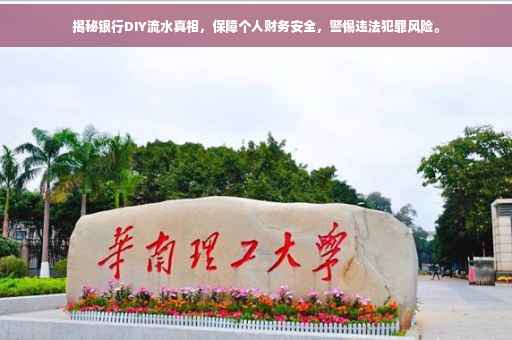 揭秘银行DIY流水真相，保障个人财务安全，警惕违法犯罪风险。