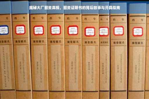 揭秘大厂薪资真相，薪资证明书的背后故事与开具指南
