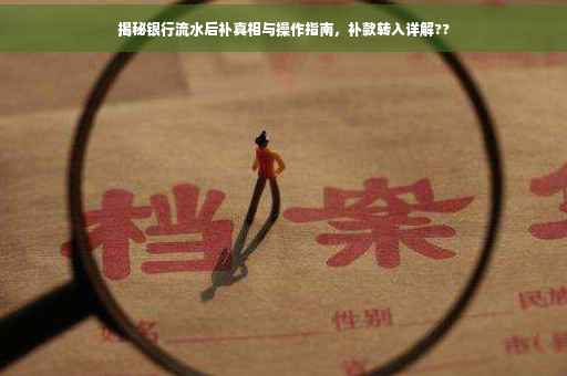 揭秘银行流水后补真相与操作指南，补款转入详解??