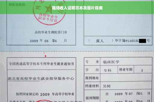 商场收入证明范本及图片指南