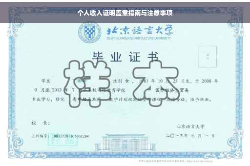个人收入证明盖章指南与注意事项