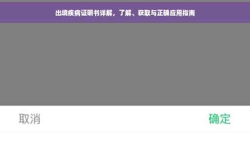 出境疾病证明书详解，了解、获取与正确应用指南