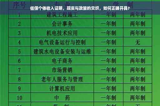 低保个体收入证明，现实与政策的交织，如何正确开具？