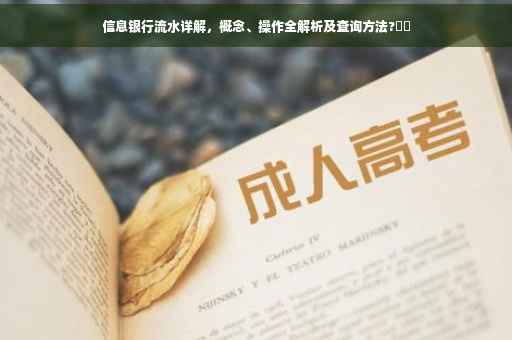 信息银行流水详解，概念、操作全解析及查询方法?⚡️