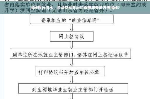 揭秘银行流水，金融交易背后的真相与查询方法揭秘?