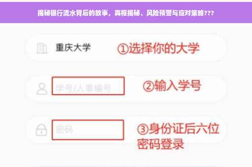 揭秘银行流水背后的故事，真相揭秘、风险预警与应对策略???