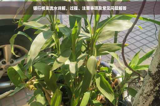银行核实流水详解，过程、注意事项及常见问题解答
