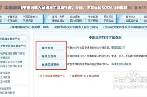 飞书申请收入证明与工资单指南，步骤、注意事项及常见问题解答