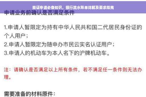 签证申请必备知识，银行流水账单详解及要求指南