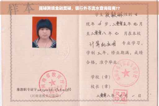 揭秘跨境金融奥秘，银行外币流水查询指南??