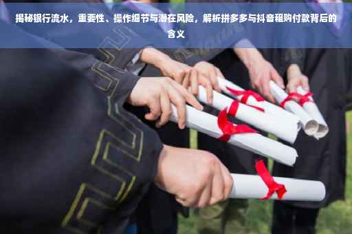 揭秘银行流水，重要性、操作细节与潜在风险，解析拼多多与抖音租购付款背后的含义