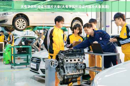 大专学历所持证书图片大全(大专学历所持证书图片大全高清)