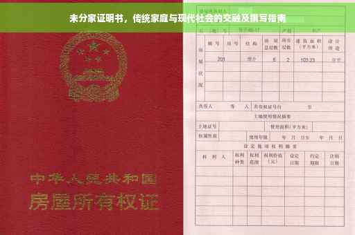未分家证明书，传统家庭与现代社会的交融及撰写指南
