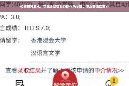 公正银行流水，实现金融交易透明化的关键，流水查询指南??