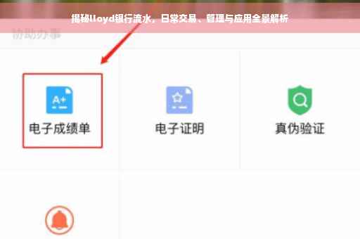 揭秘lloyd银行流水，日常交易、管理与应用全景解析