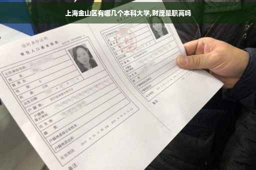 上海金山区有哪几个本科大学,财茂是职高吗