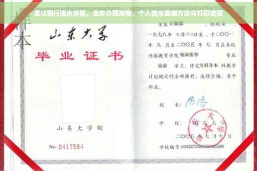 龙江银行流水详解，业务办理指南、个人流水查询方法与打印流程