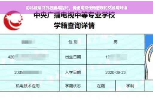 彩礼证明书的权衡与探讨，传统与现代婚恋观的交融与对话